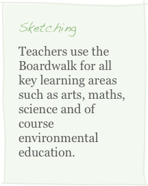 Sketching
Teachers use the Boardwalk for all key learning areas such as arts, maths, science and of course environmental education.