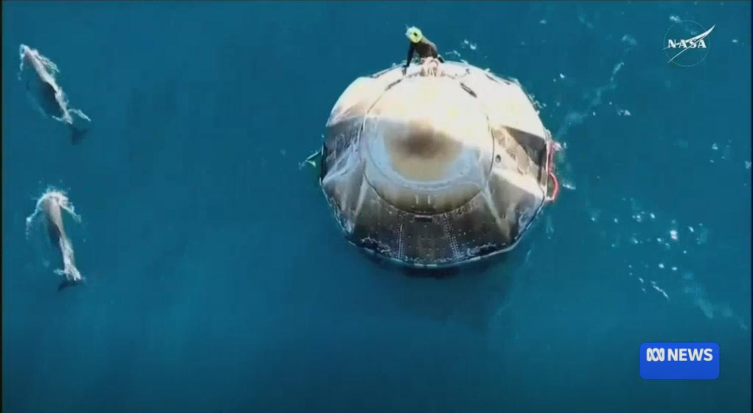 Dolphins photobomb splashdown