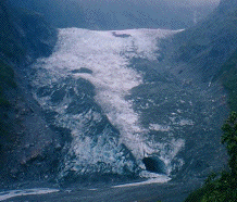 Fox glacier - NZ