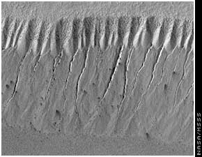 Martian gullies